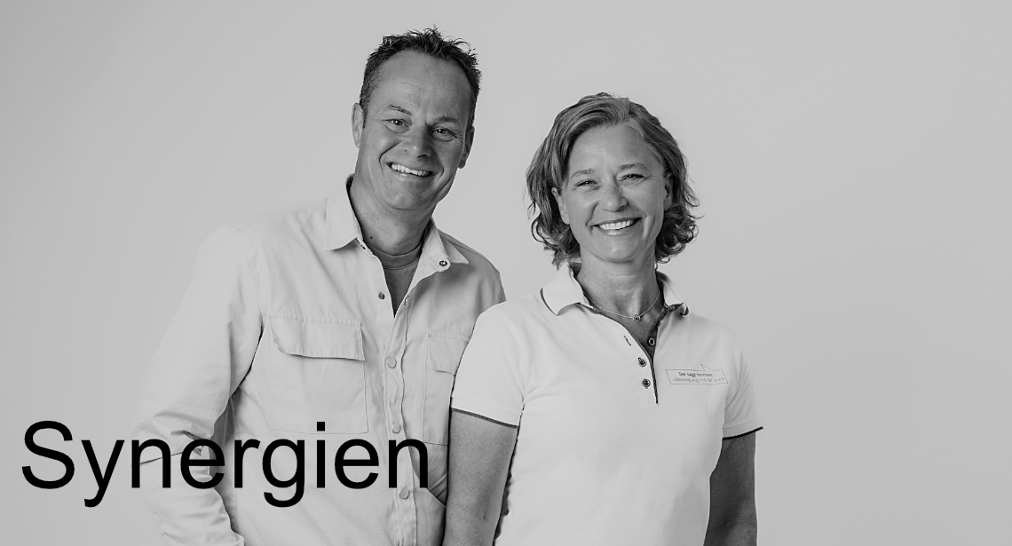 Synergien